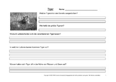 Tiger-Fragen-1.pdf